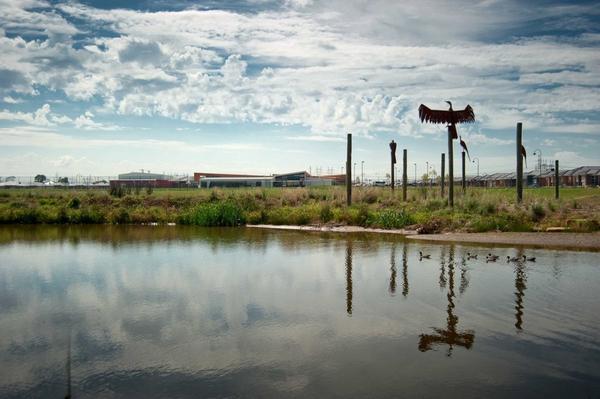Student Absences Banner Photo