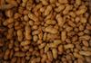Peanut Allergy Study Banner Photo