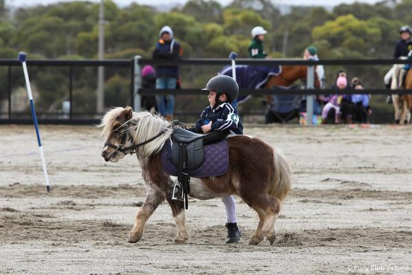Games, Flat, Musical Ride State Championships 2026 Banner Photo