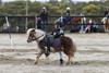 Games, Flat, Musical Ride State Championships 2026 Banner Photo