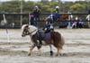 Games, Flat, Musical Ride State Championships 2026 Banner Photo