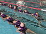 Middle Upper Primary Swimming Program Banner Photo