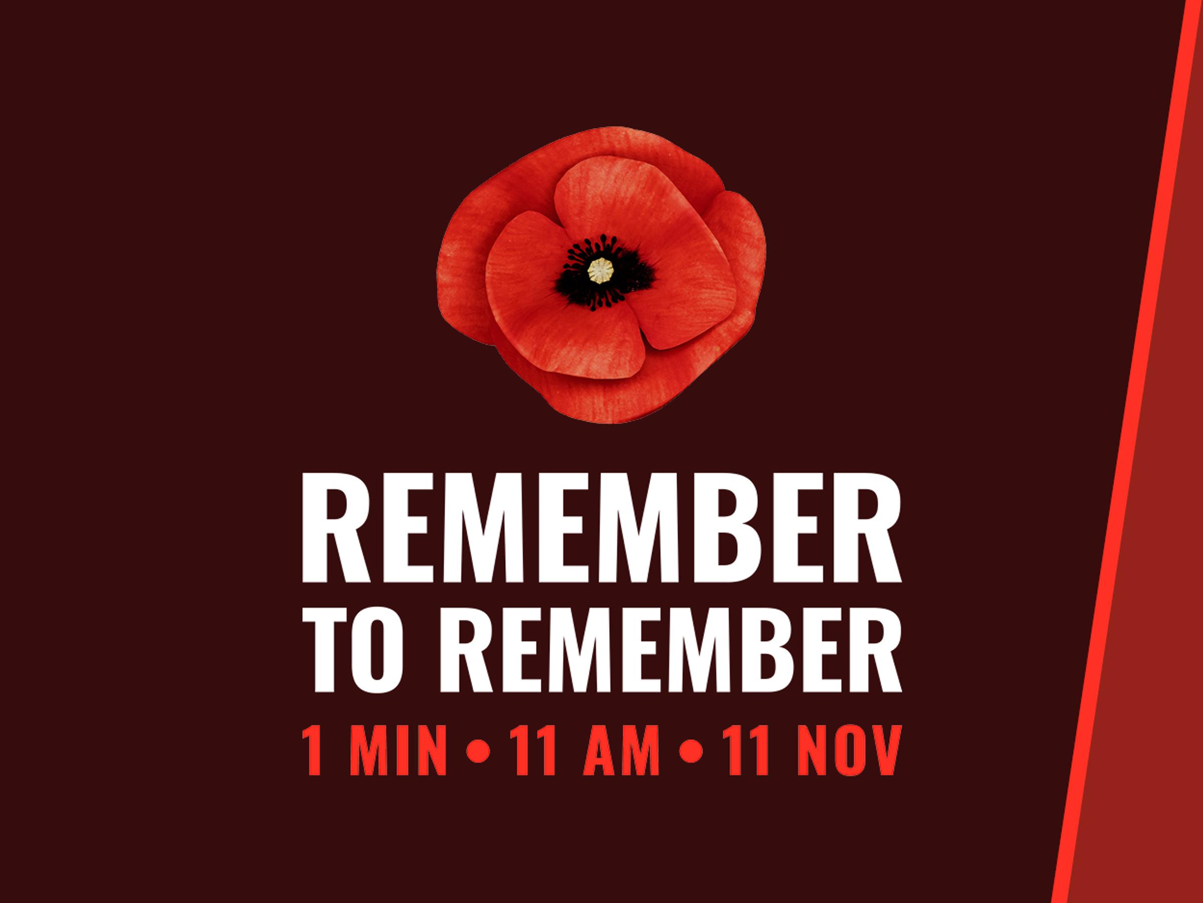 Remembrance Day Banner Photo