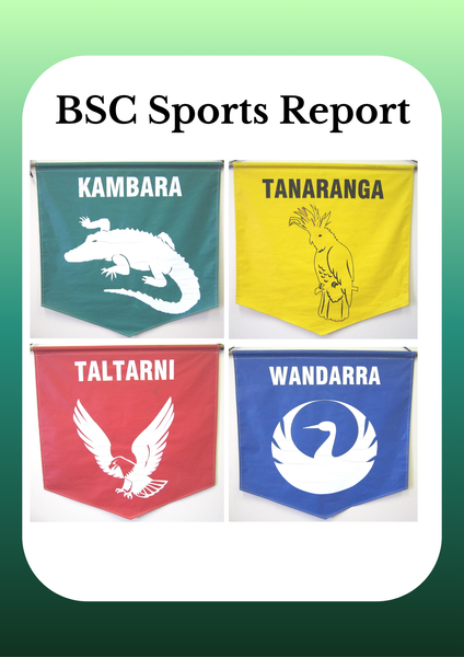 Sports Report Banner Photo