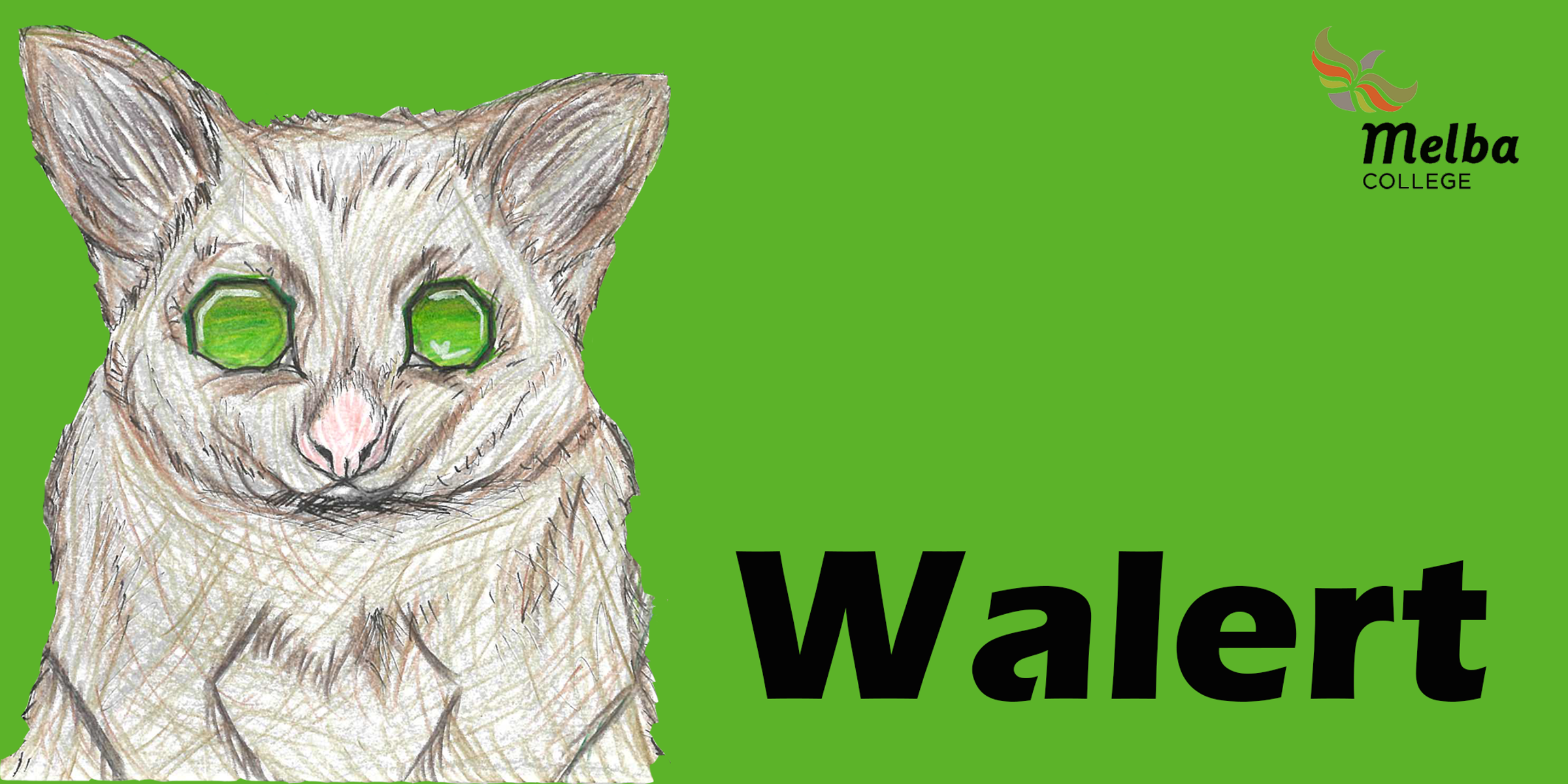 Banner Photo