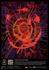 Naidoc Week Banner Photo