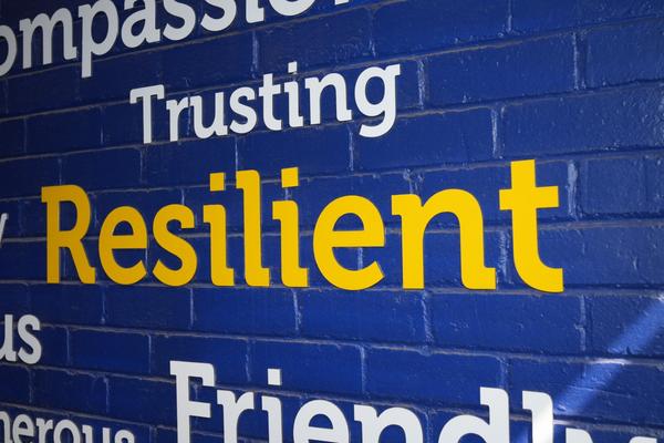 Primary News Banner Photo