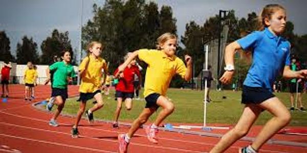 From the Principal Banner Photo