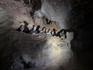 Year 11 & 12 Outdoor and Environmental Studies Trip – Buchan Banner Photo