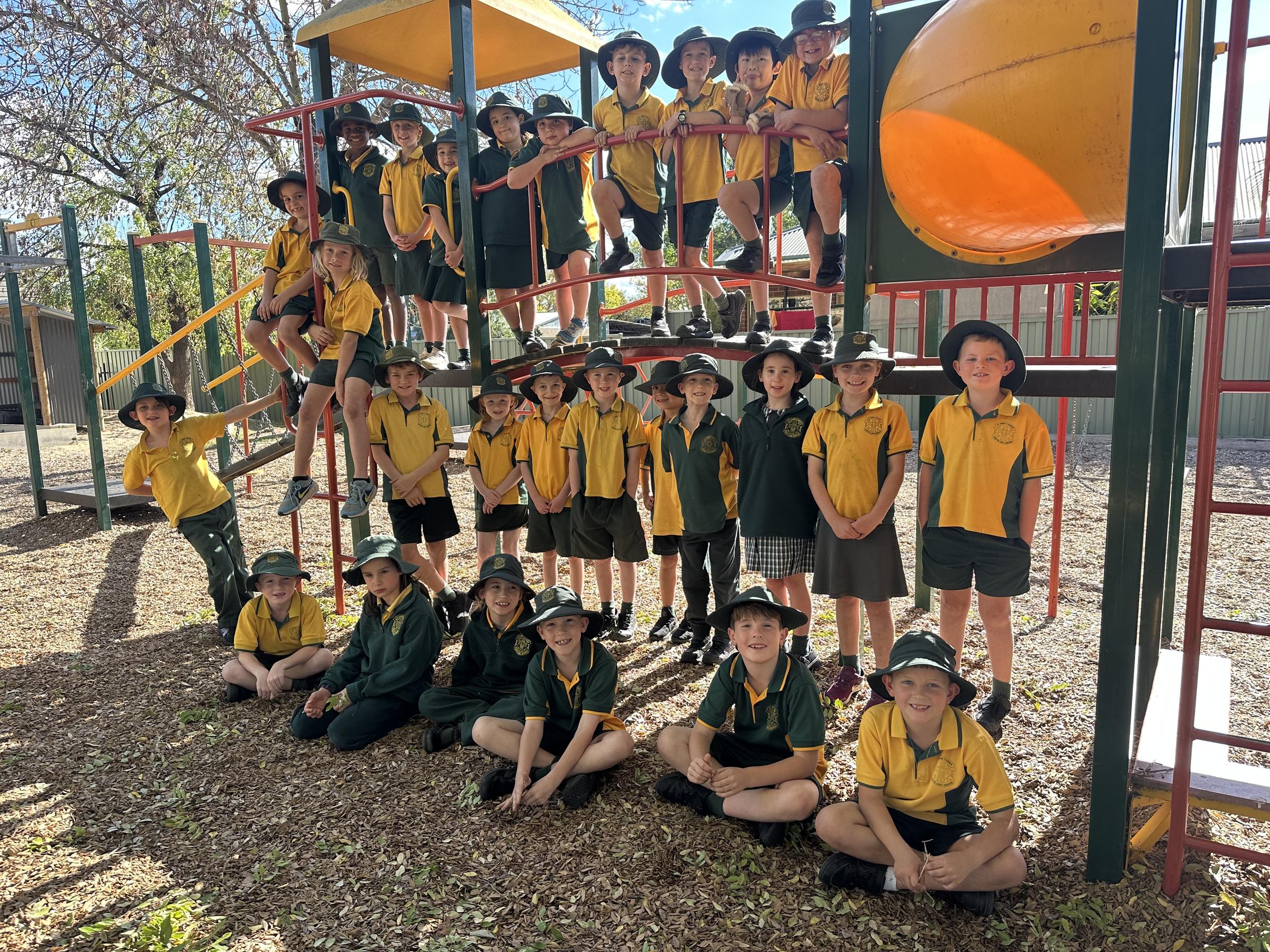 Year 2 Banner Photo