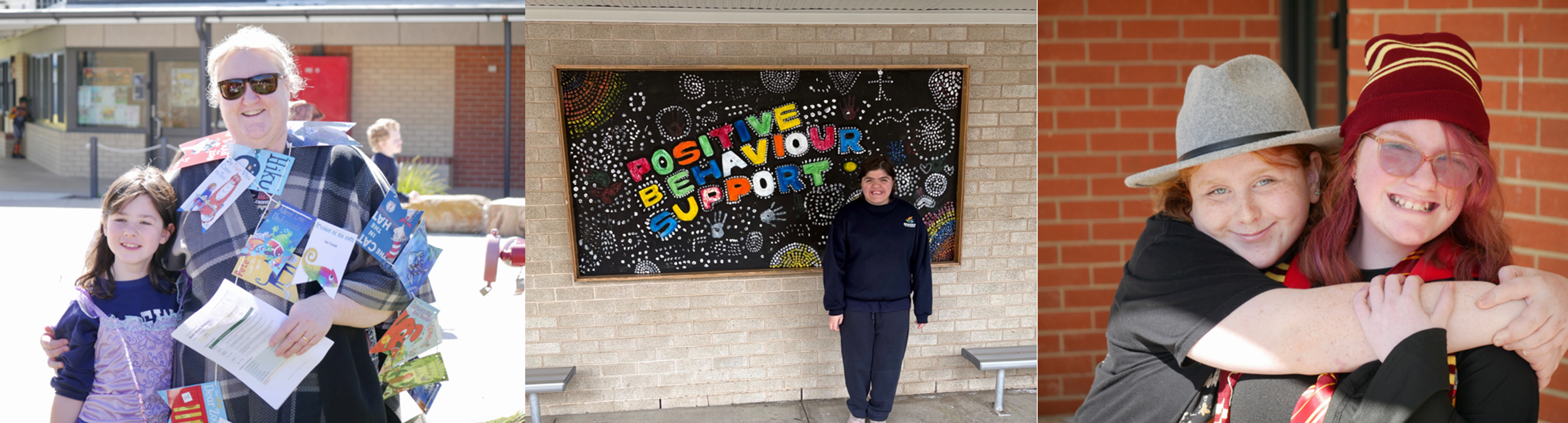 Positive Behaviour Support (PBS) Banner Photo