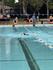 Interschool Sport Banner Photo