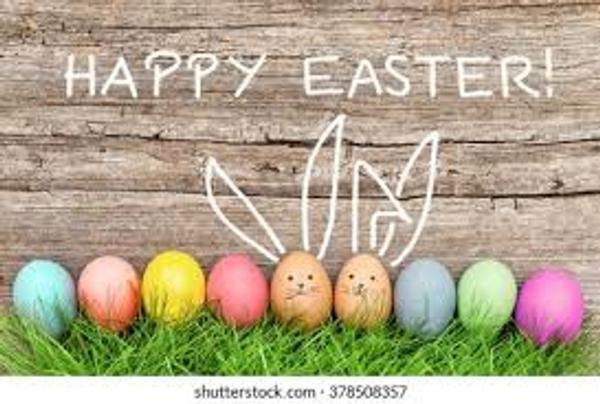 School & Community News Banner Photo