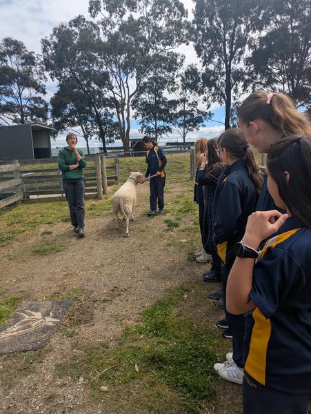 Outside the Classroom Banner Photo