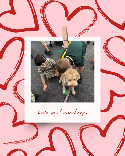 Wellbeing News Banner Photo