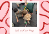 Wellbeing News Banner Photo