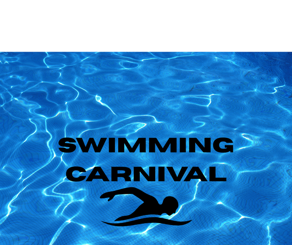 Swimming Carnival Banner Photo