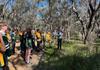 Year 8 Geography Indigenous Cultural and Spirituality Walk Banner Photo