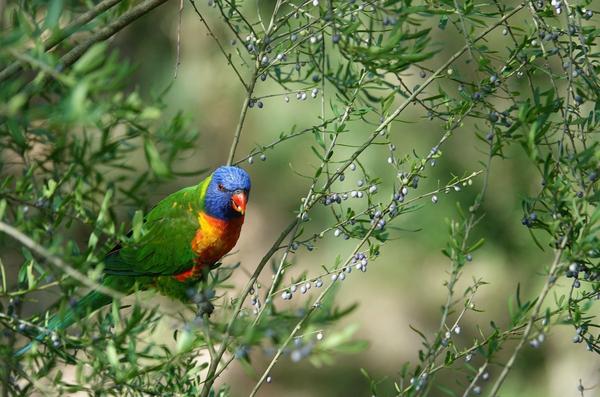 A note from Mr Jackson Banner Photo