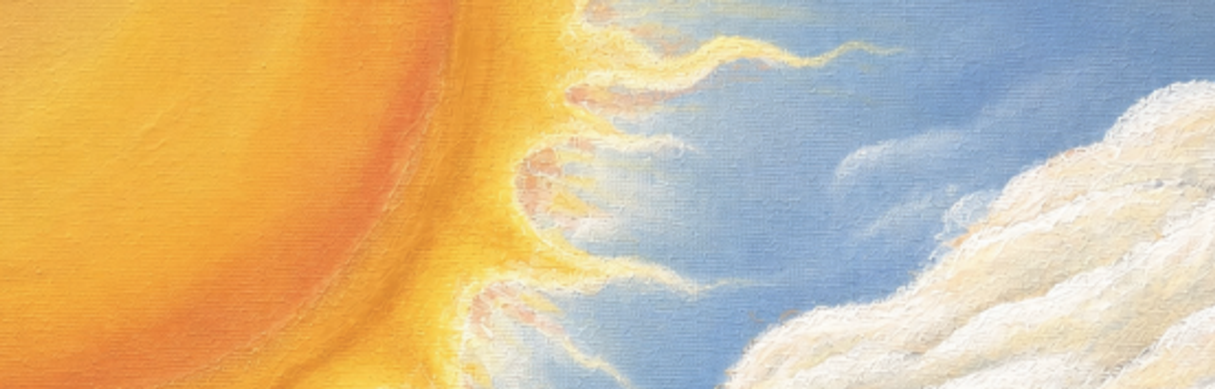 Banner Photo