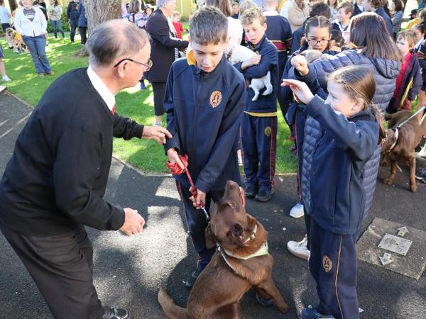 Junior School Banner Photo