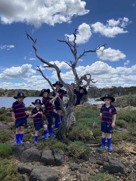Primary School Banner Photo