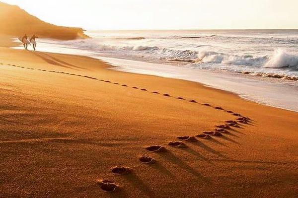 WELLBEING Banner Photo