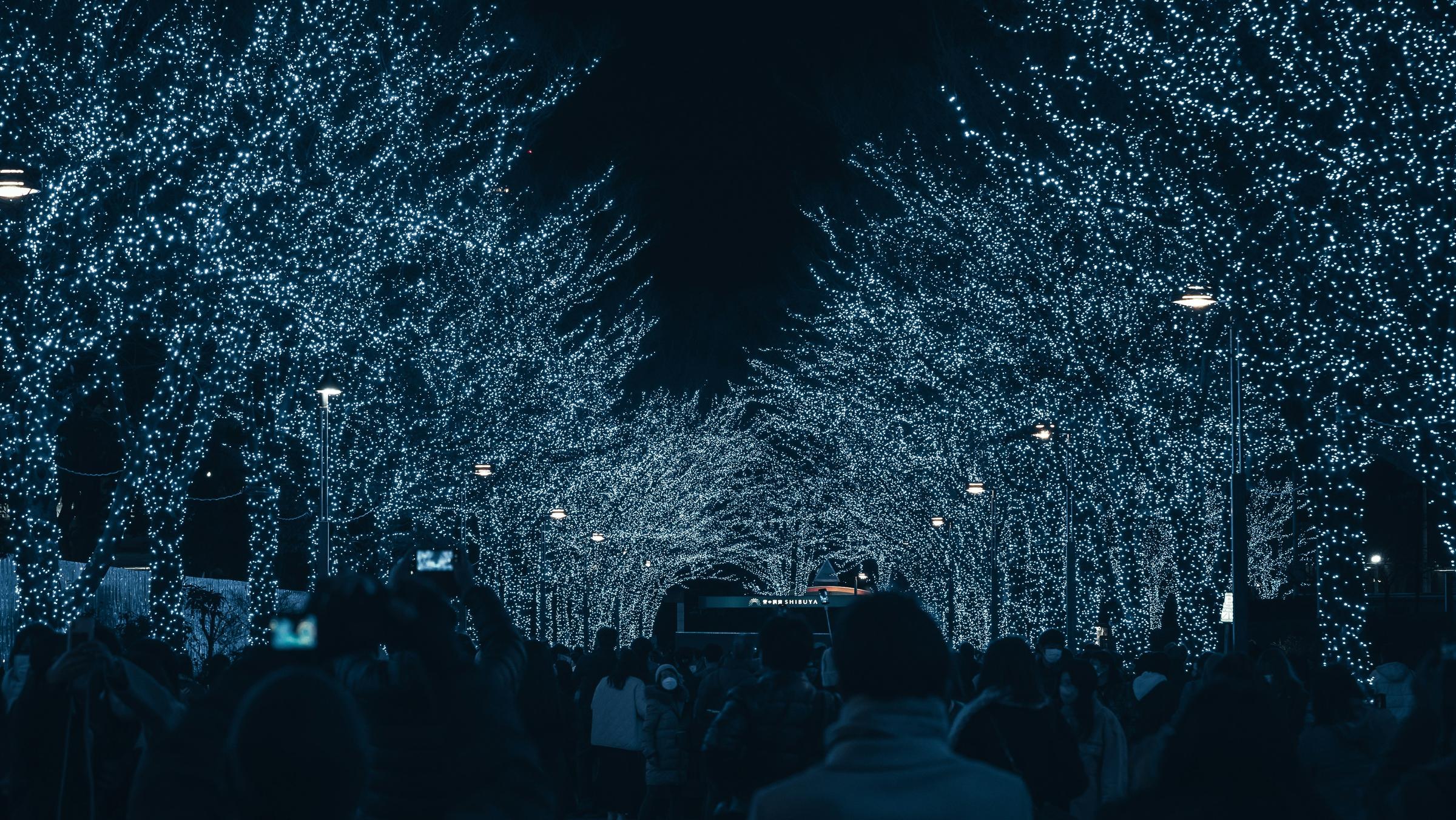 Banner Photo