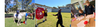 Community Notices Banner Photo