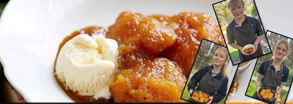 2025 MYLNS Cookbook Banner Photo