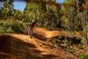 Year 10 Outdoor Education Banner Photo
