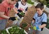 Food Tech and Kitchen Garden Banner Photo