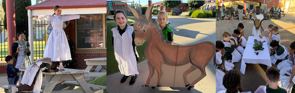 Catholic Identity Banner Photo