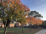 Principal's News    Banner Photo