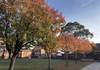 Principal's News Banner Photo