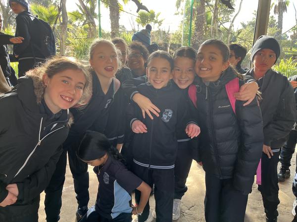 Organisation Banner Photo