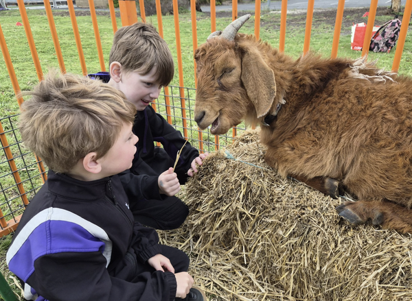 Stage of Learning Updates Banner Photo