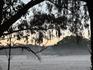 Principal's Report  Banner Photo