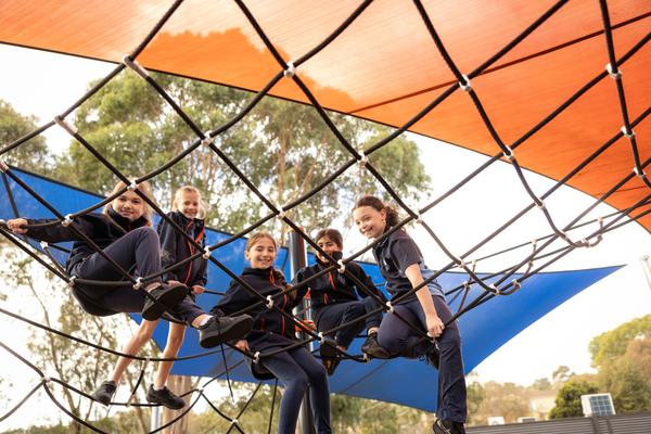 Office News Banner Photo