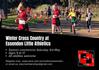 Essendon Little Athletics Banner Photo