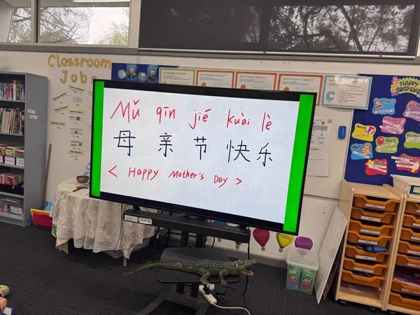Mandarin -Mr Su Banner Photo