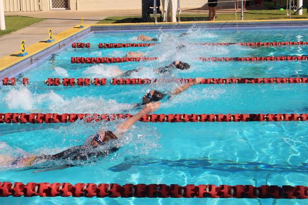 Primary Interschool Swimming Report Banner Photo