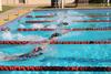 Primary Interschool Swimming Report Banner Photo