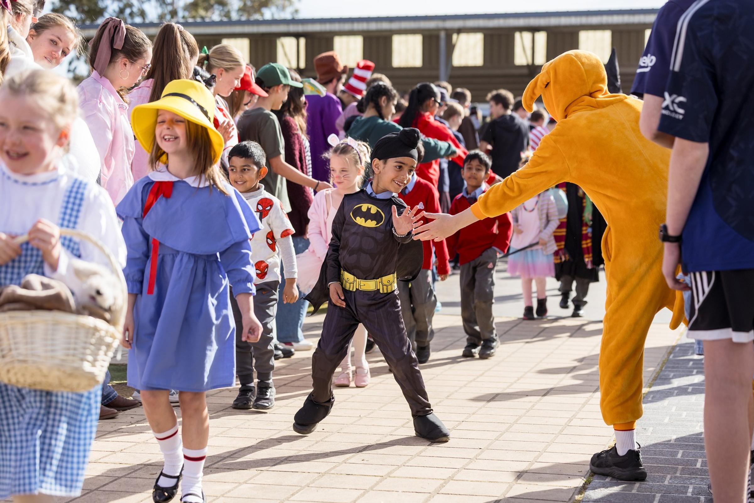 Book week Banner Photo