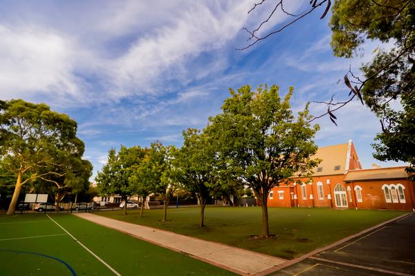 Student Shout Out! Banner Photo