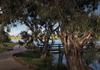 Melton Community Banner Photo