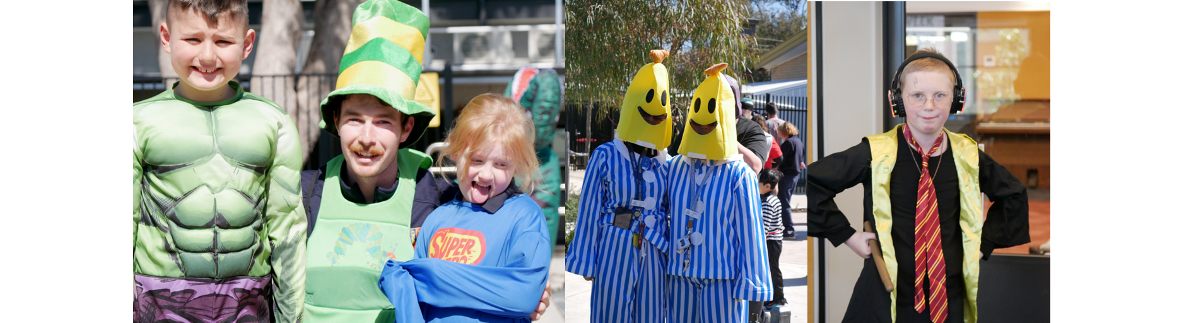Book Week Banner Photo