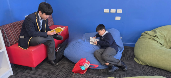 Library Banner Photo