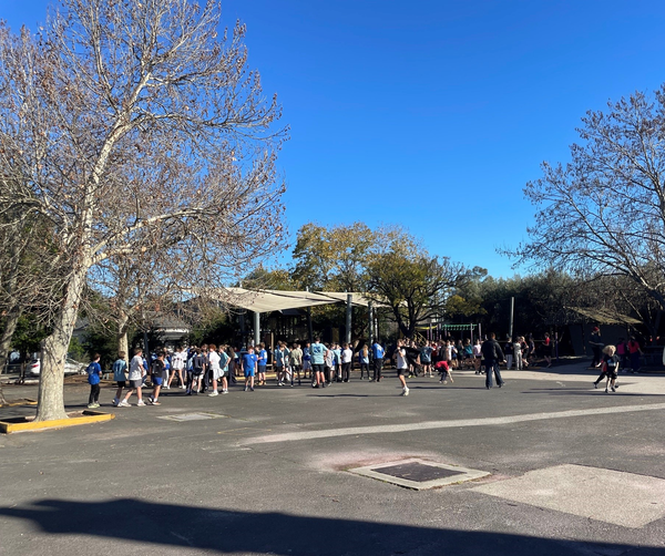 Welcome to Term Three Banner Photo