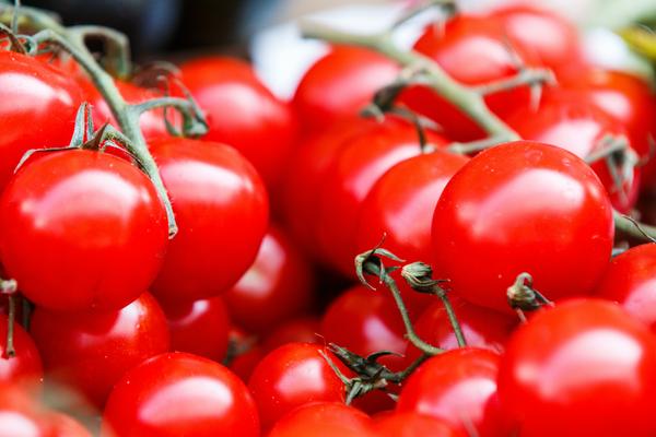 Annual Tomato Sale Banner Photo